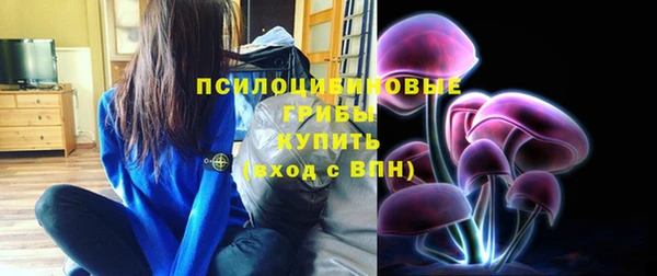 тгк Елабуга