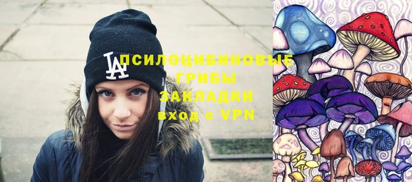 тгк Елабуга