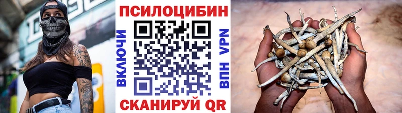 даркнет сайт  Кыштым  МЕГА рабочий сайт  Галлюциногенные грибы Cubensis 